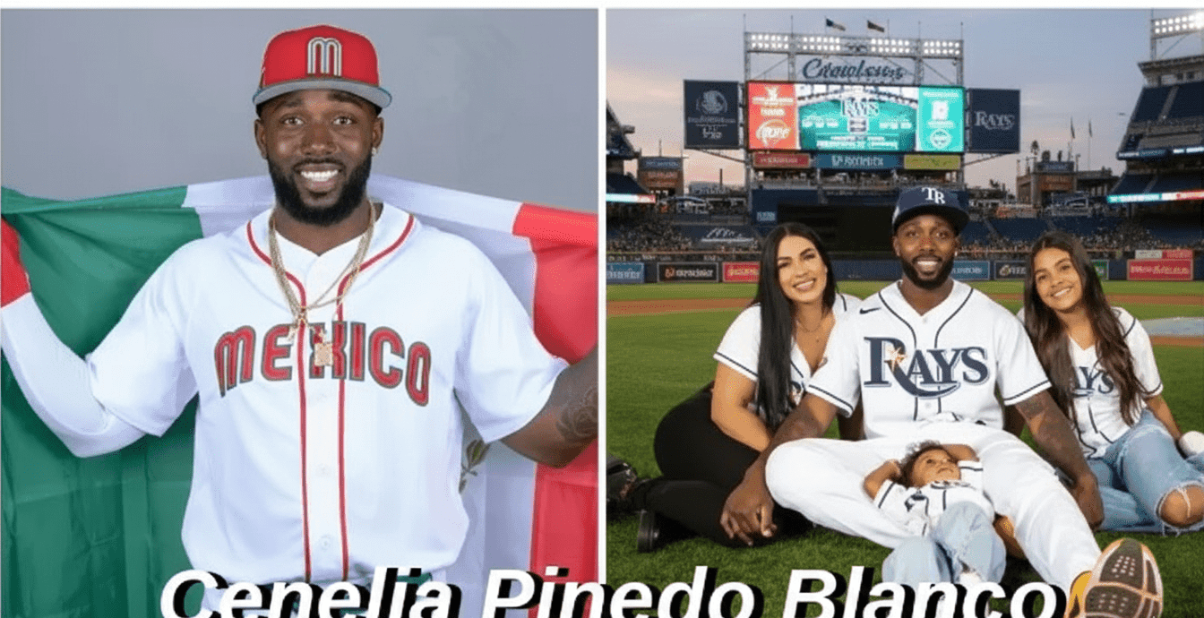 Cenelia Pinedo Blanco luxury header visual